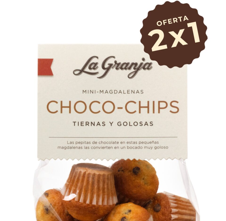 Mini chocolate chips fairy cakes