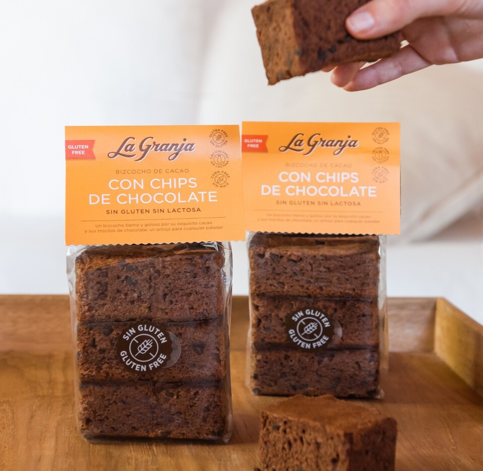 Bizcocho de cacao con chips de chocolate sin gluten y sin lactosa