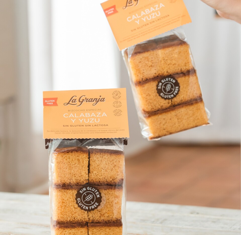 Bizcocho especial calabaza y yuzu sin gluten y sin lactosa