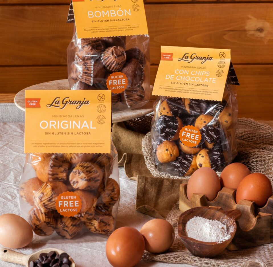 Gluten-free and lactose-free choco-chip mini fairy cakes Gluten-free and lactose-free choco-chip mini fairy cakes