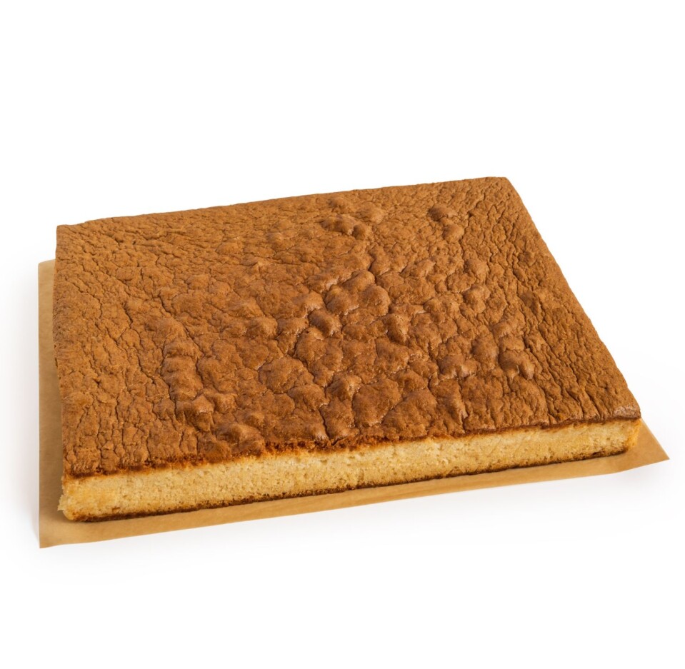 Sheet 1.8 kg of original gluten-free and lactose-free sponge cake sheet