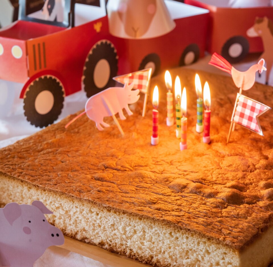 Sheet 1.8 kg of original gluten-free and lactose-free sponge cake sheet